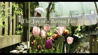 The Joy of a 'Boring' Life - April at Fairyland