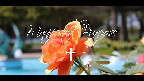 Sheila Chapman - Manifested Purpose