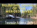 Relaxing Sounds of the Merced River - Yosemite National Park