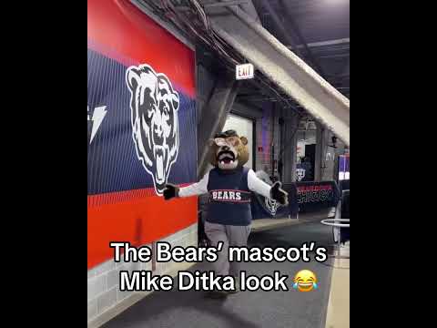 Staley Da Bear even nailed the mannerisms🔥 (via @therealstaley/IG)