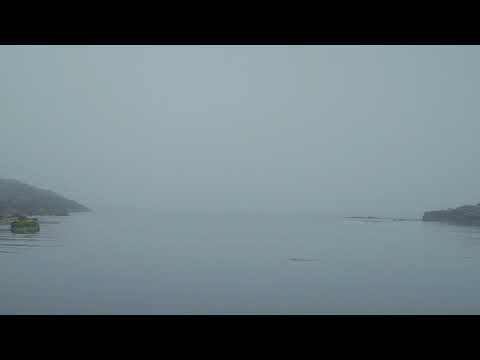 Trailer | Vaarheim | Victor Ridley