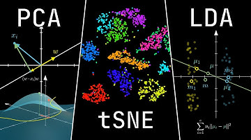 Breaking the Curse of Dimensionality (#SoME4)