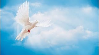 Not by might nor by power, but by My Spirit (Zechariah‬ ‭4‬:‭6‬) - Thought for the Day - 01Jun2024