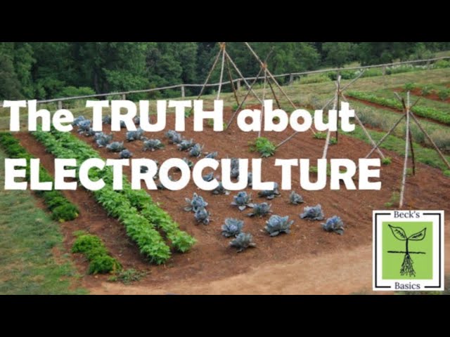 What is 'electroculture' gardening, and does it work? - The Washington Post