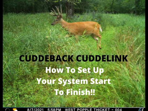 Cuddeback Cuddelink | How To Set Up Your System Start To Finish | Full Tutorial