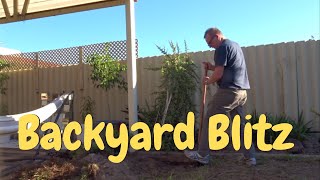 Backyard Blitz Part 1. The start of a new project.