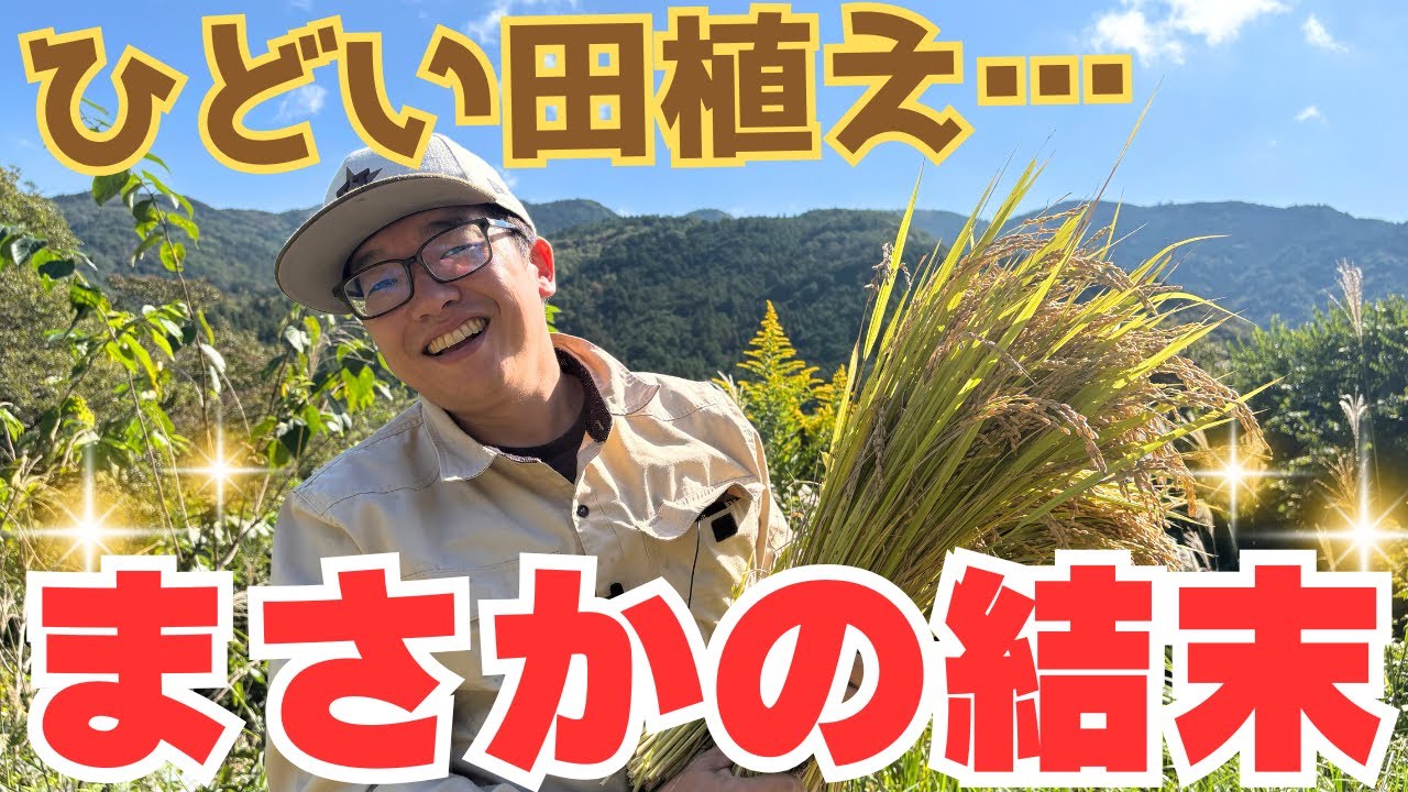 稲刈りしてみた？！雑草だらけの田んぼに奇跡は起きるのか