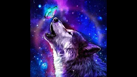 Moonlight Wolf Howling At Stars