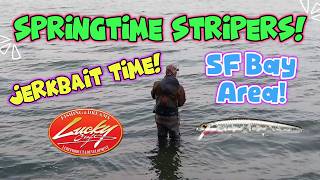 How to Catch Striped Bass with Jerkbaits and How to Cast Light Lures like Lucky Craft!