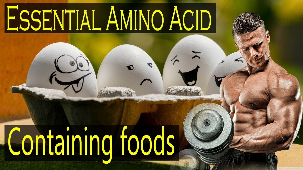 Foods High In Amino Acids amino acid foods YouTube