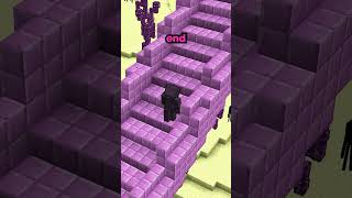 This Player Looted The Whole End In 1 Day On My Minecraft Server
