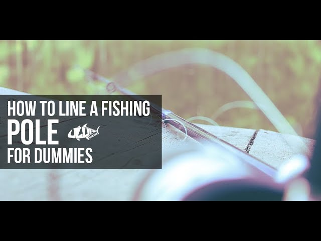 how to line a fishing pole for dummies 