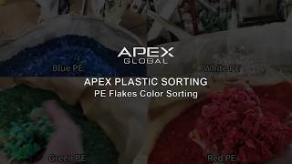PE Flakes Color Sorting Result | APEX Sorted Blue/White/Green/Red Grades