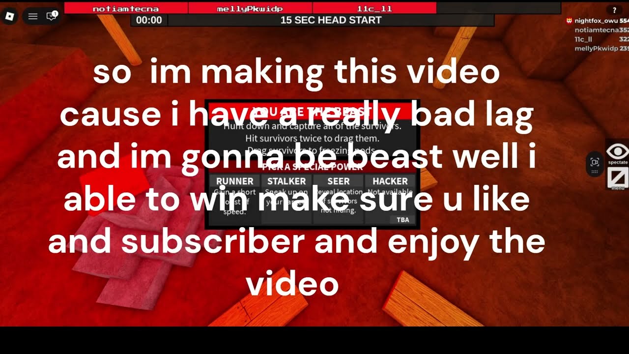 playing pro servers when the biggest lag happends