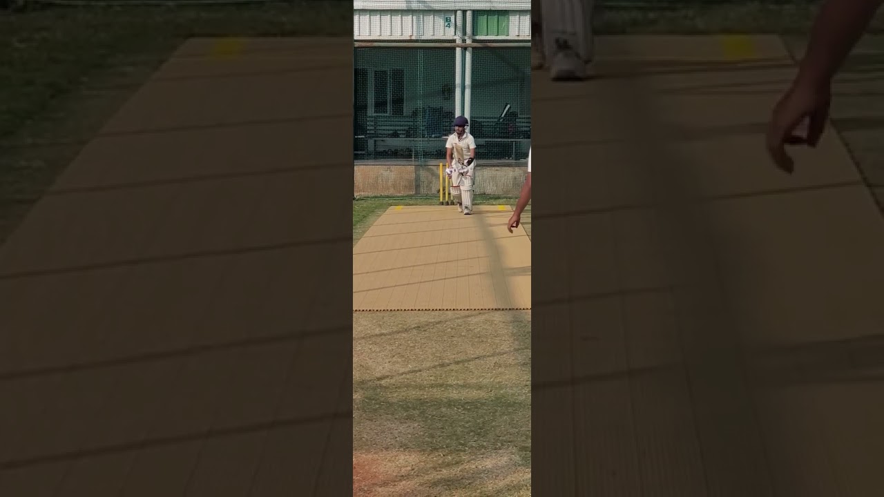 Maverick Portable Cricket Pitch.  Just Roll and play.