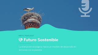 La transición ecológica: hacia un modelo de desarrollo en armonía con el planeta | Futuro Sostenible