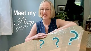 Unboxing the Marini Made 28-string Bass Lap Harp