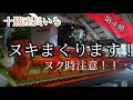 【農業王国北海道　十勝産長いも】第四弾♪収穫まで、残り数日！