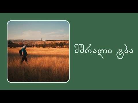 ამომშრალი ტბის გადაცურვა • ვლოგი •