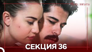 картинка: Чучулигата Cekция 36 (Дублирано на български)