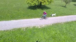 Gassifahren mit Hund Finley (mit Drohne)