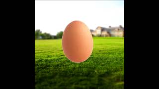 egg hatching anniversary #shorts #animation #egg
