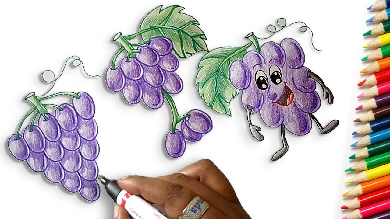 How to Draw Grapes Easy for Children - Learn Drawing Step by Step for ...