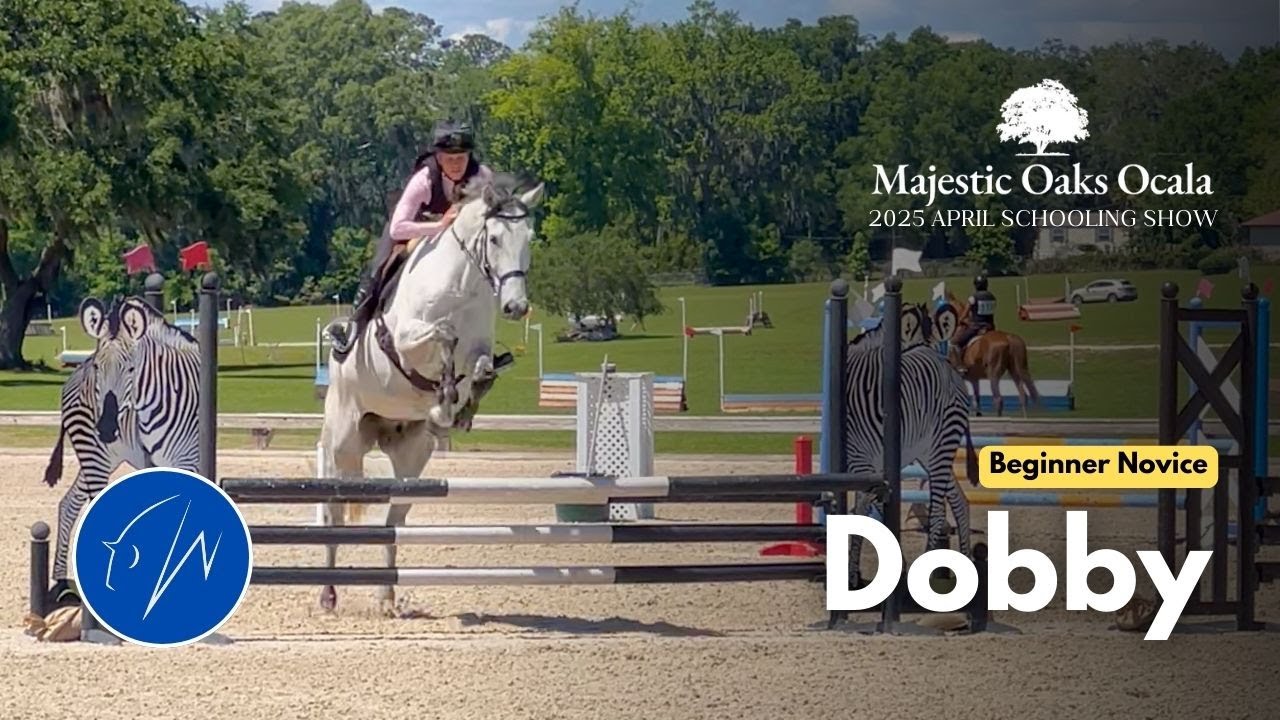 Dobby (Beginner Novice | 2025 April Schooling Show at Majestic Oaks)