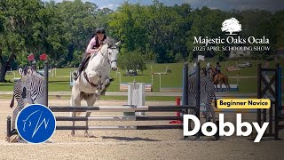 Dobby (Beginner Novice | 2025 April Schooling Show at Majestic Oaks)