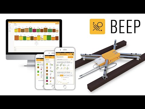 BEEP base - Automatic bee hive monitor