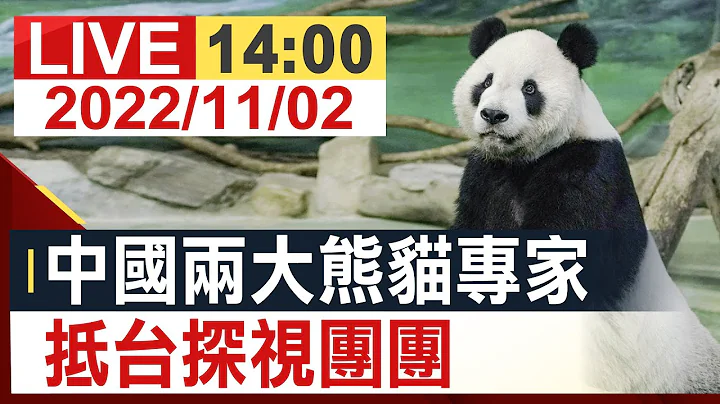 【完整公開】中國兩大熊貓專家 抵台探視團團 - 天天要聞