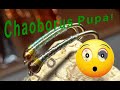 Chaoborus Pupa Fly Pattern Fly Tying Tutorial