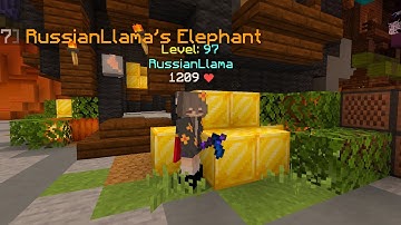 I found a macroer in Hypixel Skyblock