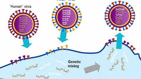 Influenza: An Update on the Disease and Laboratory Diagnosis [Hot Topic] - DayDayNews