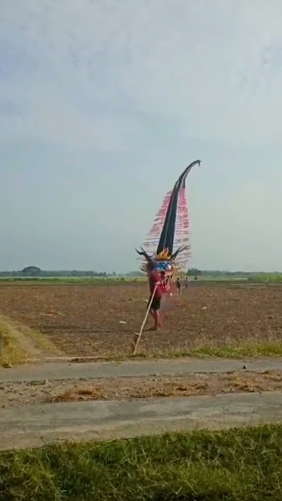 Ketika Layangan Naga Di Terpa Angin Kencang ❗Ya Jadi Gini 😁 Jedag jedug Tiktok