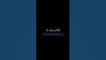 سورة النساء: الآية [ ١٤٥-١٤٧ ]#القرآن_الكريم #الفرقان #سورة_النساء #ياسر_الدوسري #قرآن #تلاوة #آيات