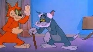 Tom And Jerry Cartoon Tom & Jerry 153
