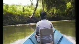 The Iban-Dayak of Borneo