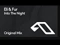 Eli & Fur - Into The Night