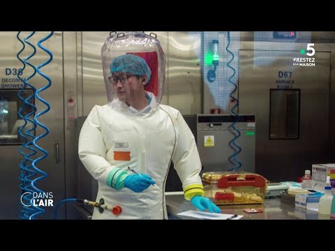 Coronavirus: la Chine dans l'oeil du cyclone - Reportage #cdanslair 17.04.2020 Coronavirus: la Chine dans l'oeil du cyclone - Reportage #cdanslair 17.04.2020