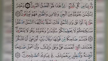 سورة النمل الآية من ١٧ الى١٩ (17~19)