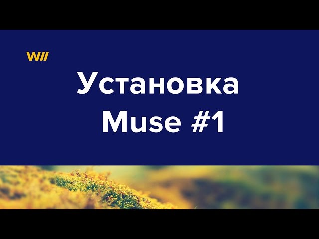 Как скачать и установить Adobe Muse #1