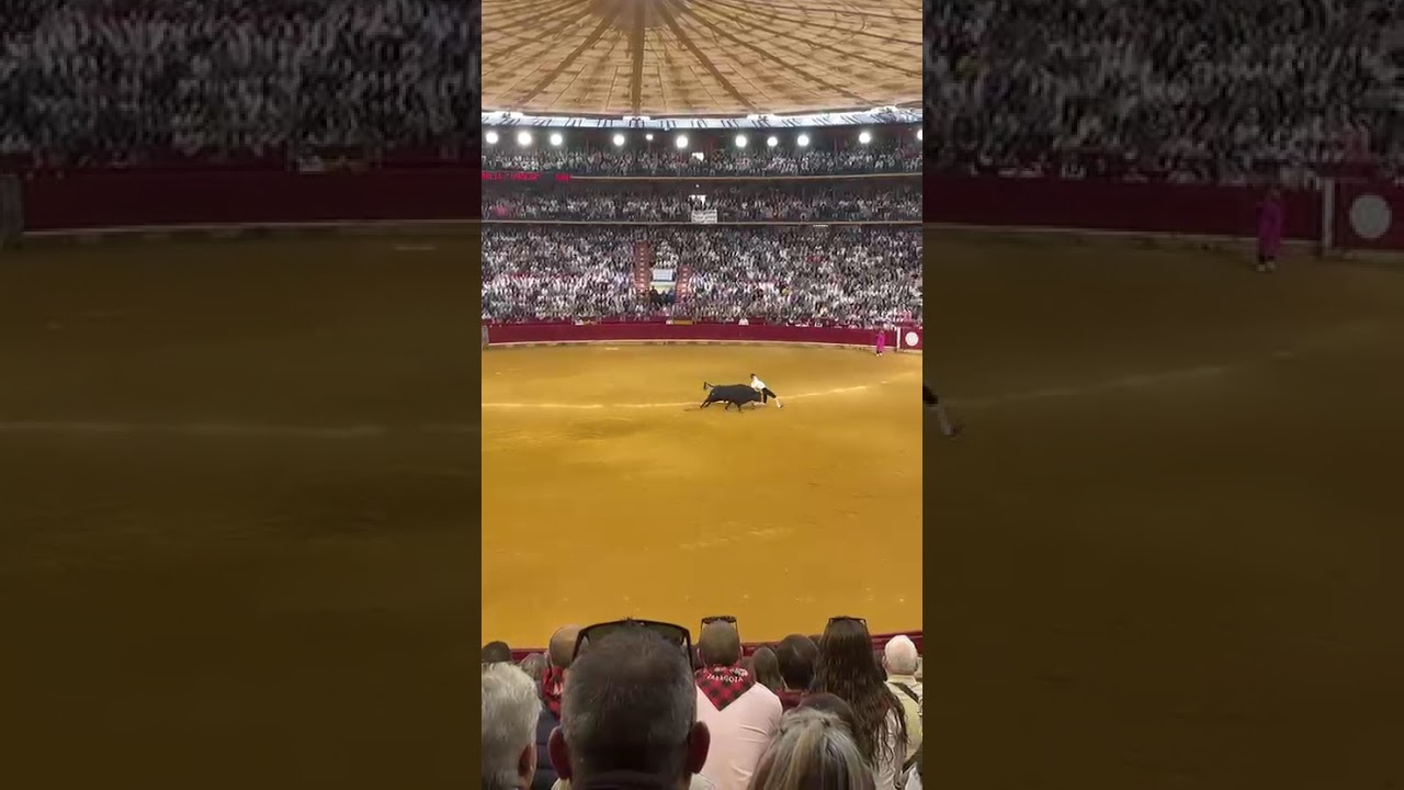 😍 Doblando RIÑÓN en el CORTE al TORO en Zaragoza!