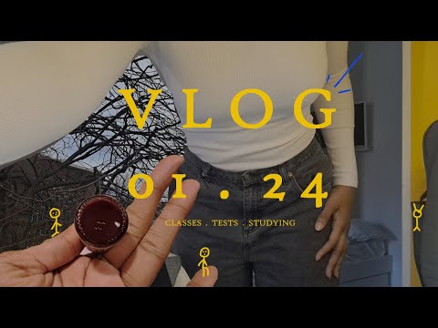 vlog  01.24  |  library hunting, studying, tests