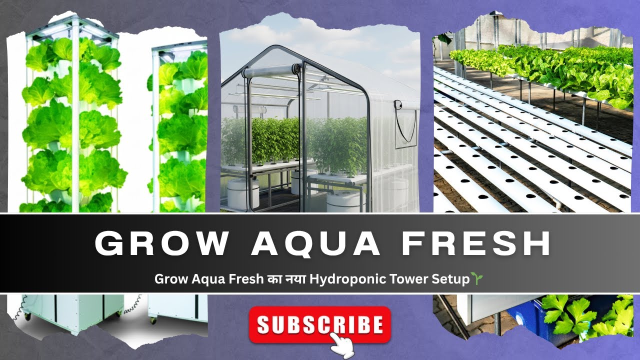 Grow Aqua Fresh का नया High-Tech Hydroponic Setup  | Precision Farming Revolution 2025