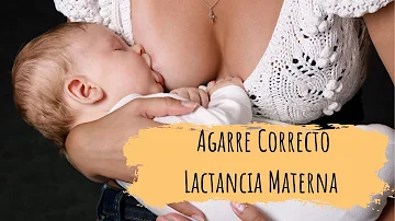 ¿Cuáles son los 4 signos de un buen apego del bebé durante la lactancia?