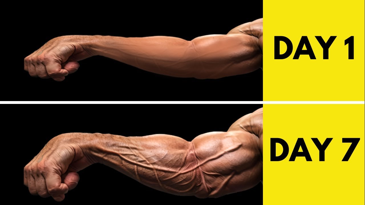 Only 3 Exercise You Need For Big Forearms At home | Dumbbell Forearm ...