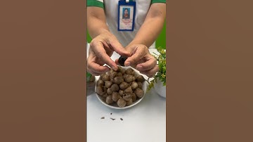 Khám phá hộp tỏi đen cô đơn  -  Hỗ trợ bệnh tiểu đường, tim mạch, huyết áp