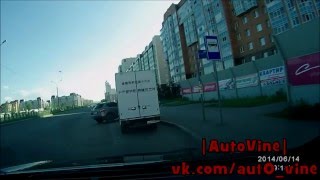 Auto vine #75