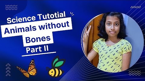 Animals without Bones (Part II) // Science tutorial video by a Child //@kritanzworld